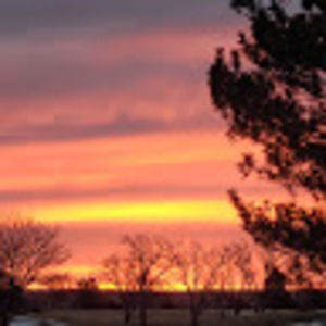 Meet your Posher, Jody